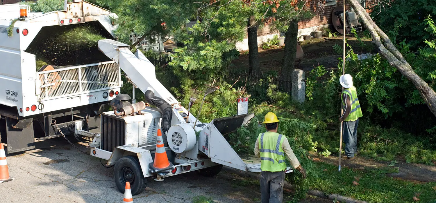 tree service near new athens il